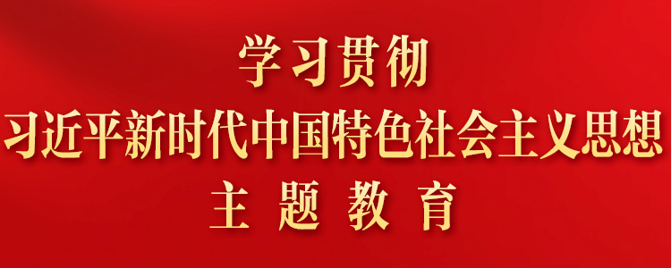 學(xué)習(xí)貫徹習(xí)近平新時(shí)代中國(guó)特色社會(huì)主義思想主題教育專(zhuān)題網(wǎng)站